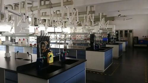 食品工程技術咨詢 推動食品安全與創新的關鍵角色