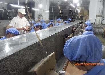 專業(yè)玩具加工與塑膠配件生產(chǎn) 技術(shù)、價格與咨詢服務(wù)全解析